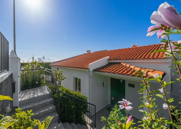 Villa Ourmadeira - Aquarela